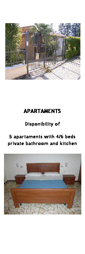 Casella di testo: APARTAMENTS
Disponibility of 
5 apartaments with 4/6 beds private bathroom and kitchen 
